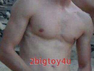 2bigtoy4u