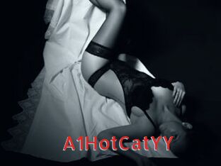 A1HotCatYY