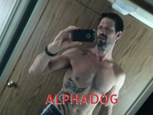 ALPHADOG