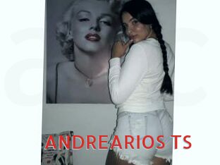 ANDREARIOS_TS