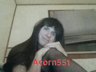 Acorn551
