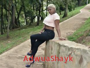 AdwuaShayk