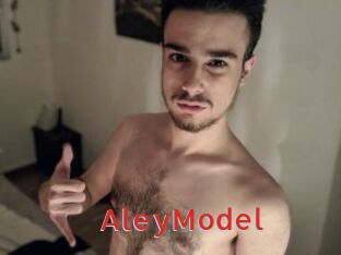AleyModel