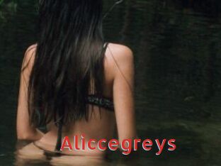 Aliccegreys