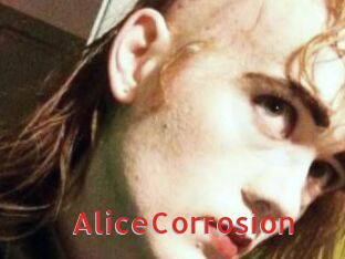 AliceCorrosion