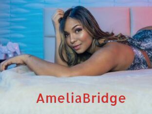 AmeliaBridge