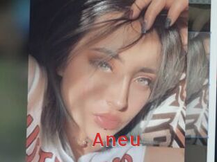 Aneu