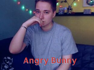 Angry_Bunny