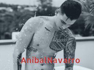 AnibalNavarro