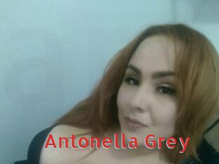Antonella_Grey