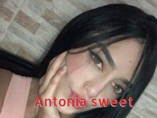 Antonia_sweet