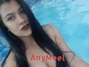 AnyMeel