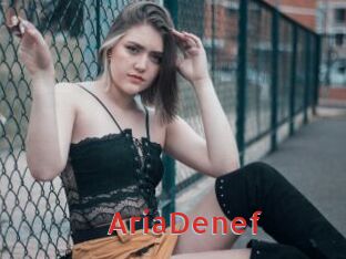 AriaDenef