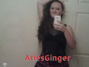 AriesGinger