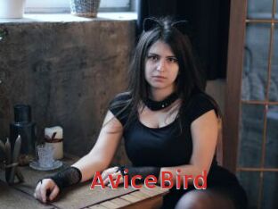 AviceBird