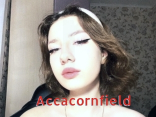 Accacornfield