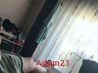 Adam23