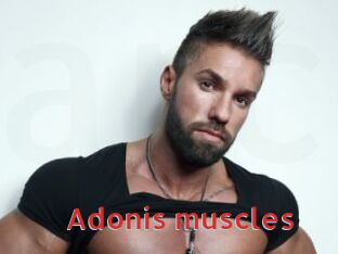 Adonis_muscles