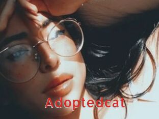 Adoptedcat