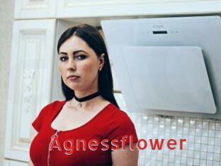 Agnessflower