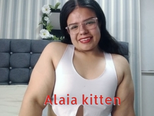 Alaia_kitten