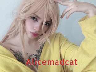 Alicemadcat