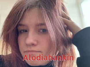 Alodiahankin