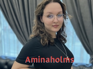 Aminaholms