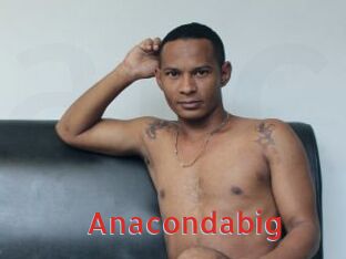 Anacondabig