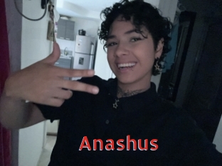Anashus