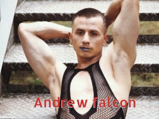 Andrew_falcon