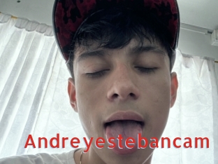 Andreyestebancam