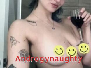 Androgynaughty