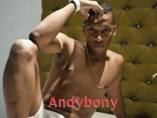 Andybony