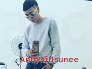 Andykittsunee