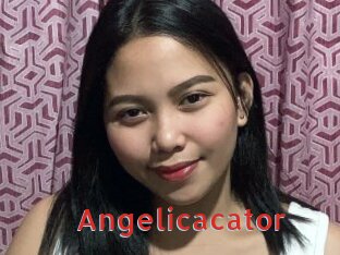 Angelicacator