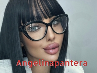 Angelinapantera