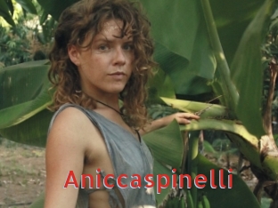 Aniccaspinelli