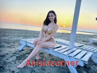 Anisiacorner