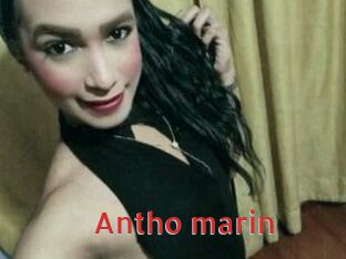 Antho_marin