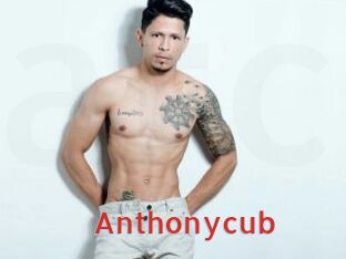 Anthonycub