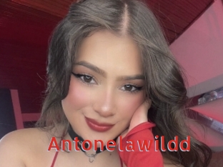 Antonelawildd