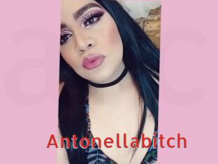 Antonellabitch