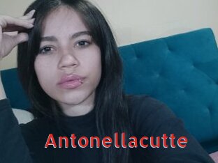Antonellacutte