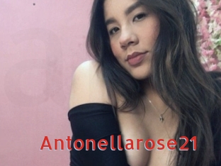 Antonellarose21