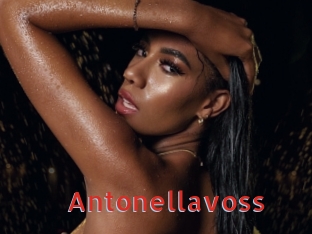 Antonellavoss