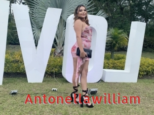Antonellawilliam