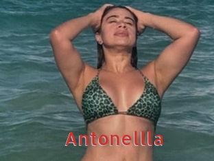 Antonellla