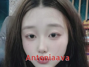 Antoniaava