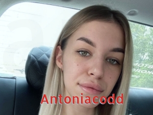 Antoniacodd